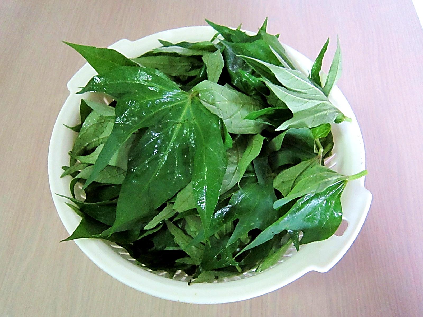 sweet pot leaf